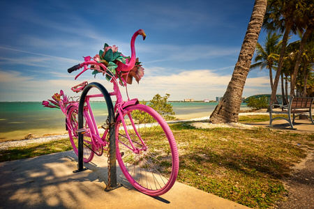 Beach Bike