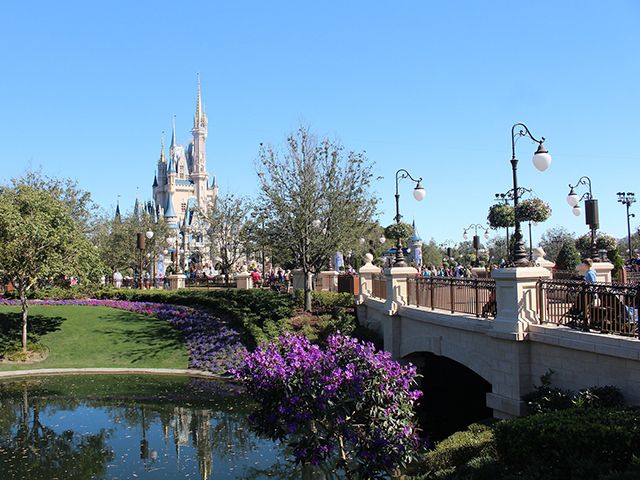 Central Florida Orlando Area